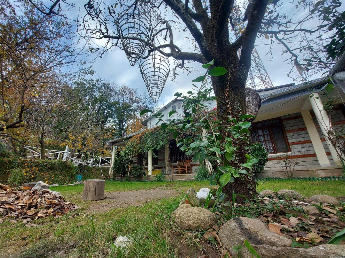 Mars Monkey Hostel & Cafe มะนาลี ภายนอก รูปภาพ
