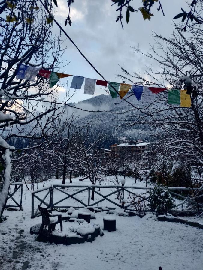 Mars Monkey Hostel & Cafe มะนาลี ภายนอก รูปภาพ