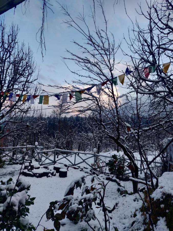 Mars Monkey Hostel & Cafe มะนาลี ภายนอก รูปภาพ